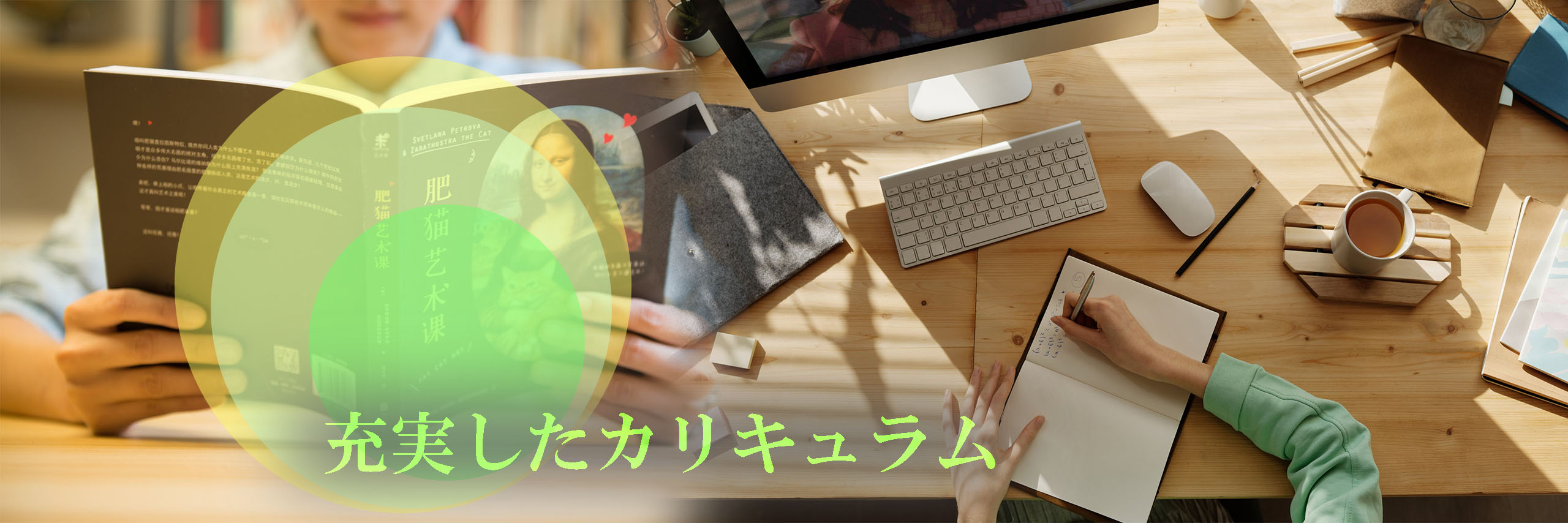 スズメ 販売中家具、インテリア - 【収納キャンペーン】スクリーン